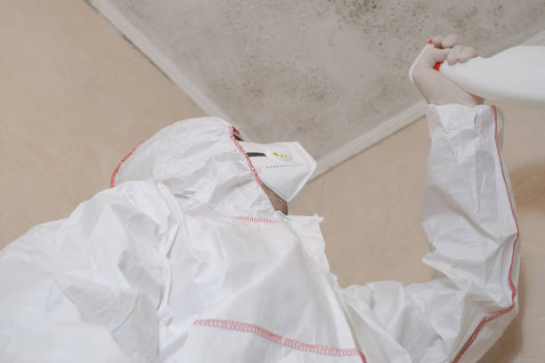 Best Best Mold Removal Companies  in Fairfield, OH